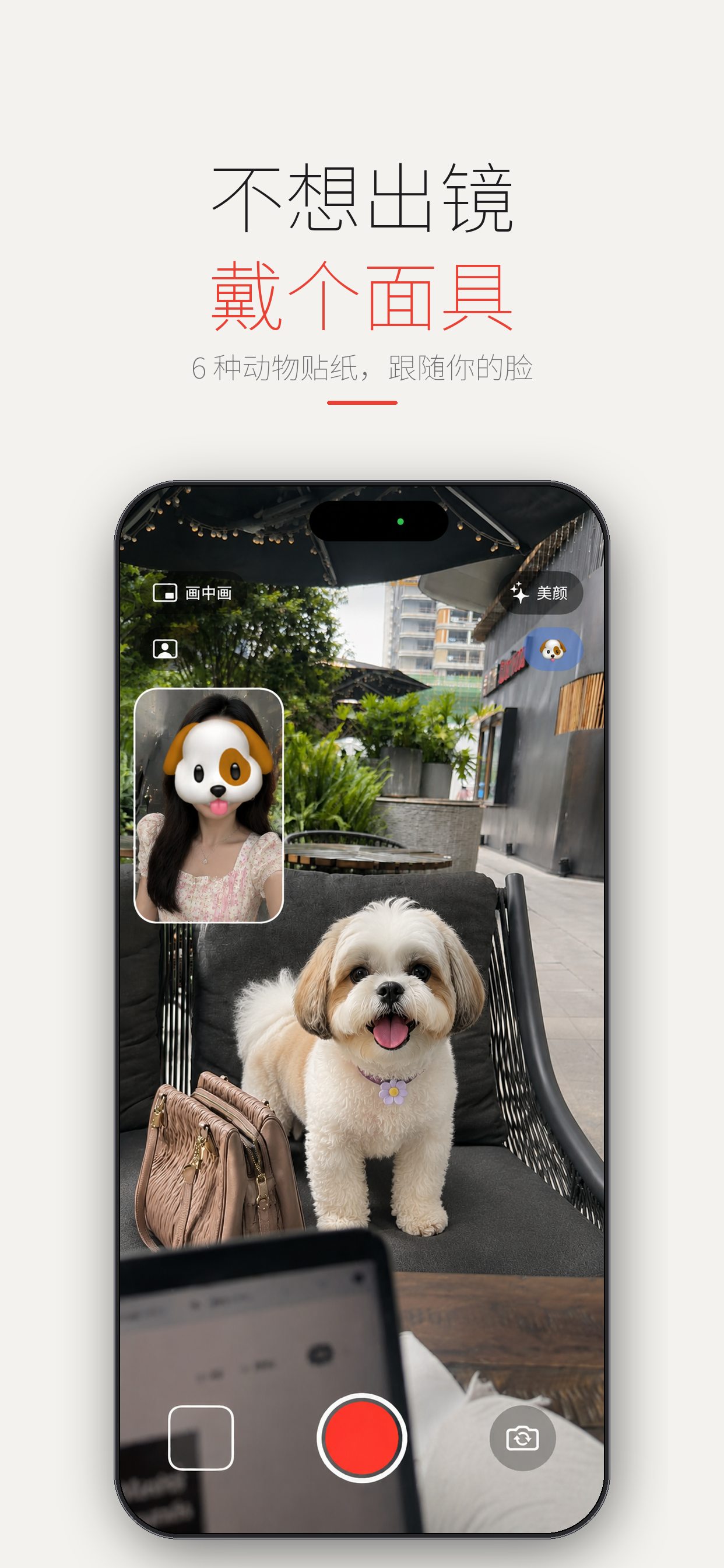 DualCam 动物面具